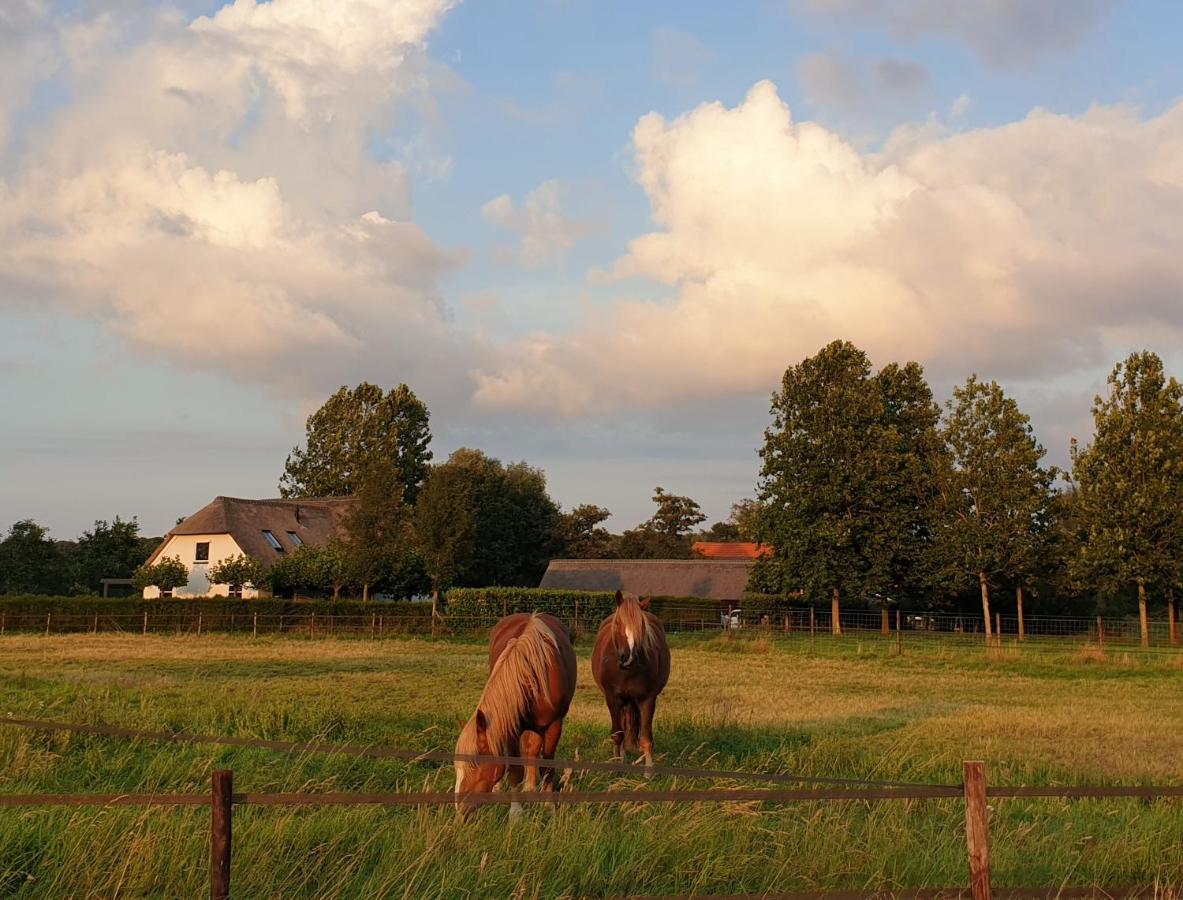 Leur B&B De Scherpenhof المظهر الخارجي الصورة