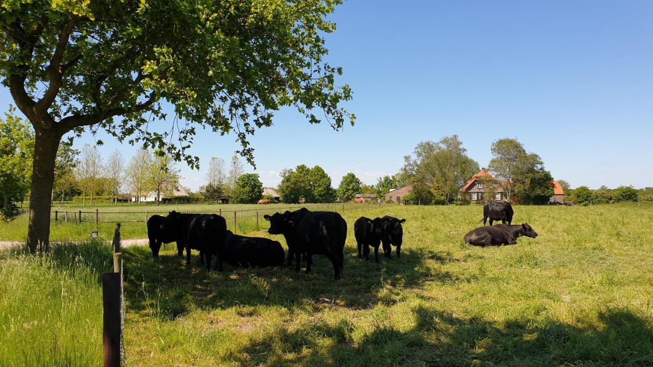 Leur B&B De Scherpenhof المظهر الخارجي الصورة